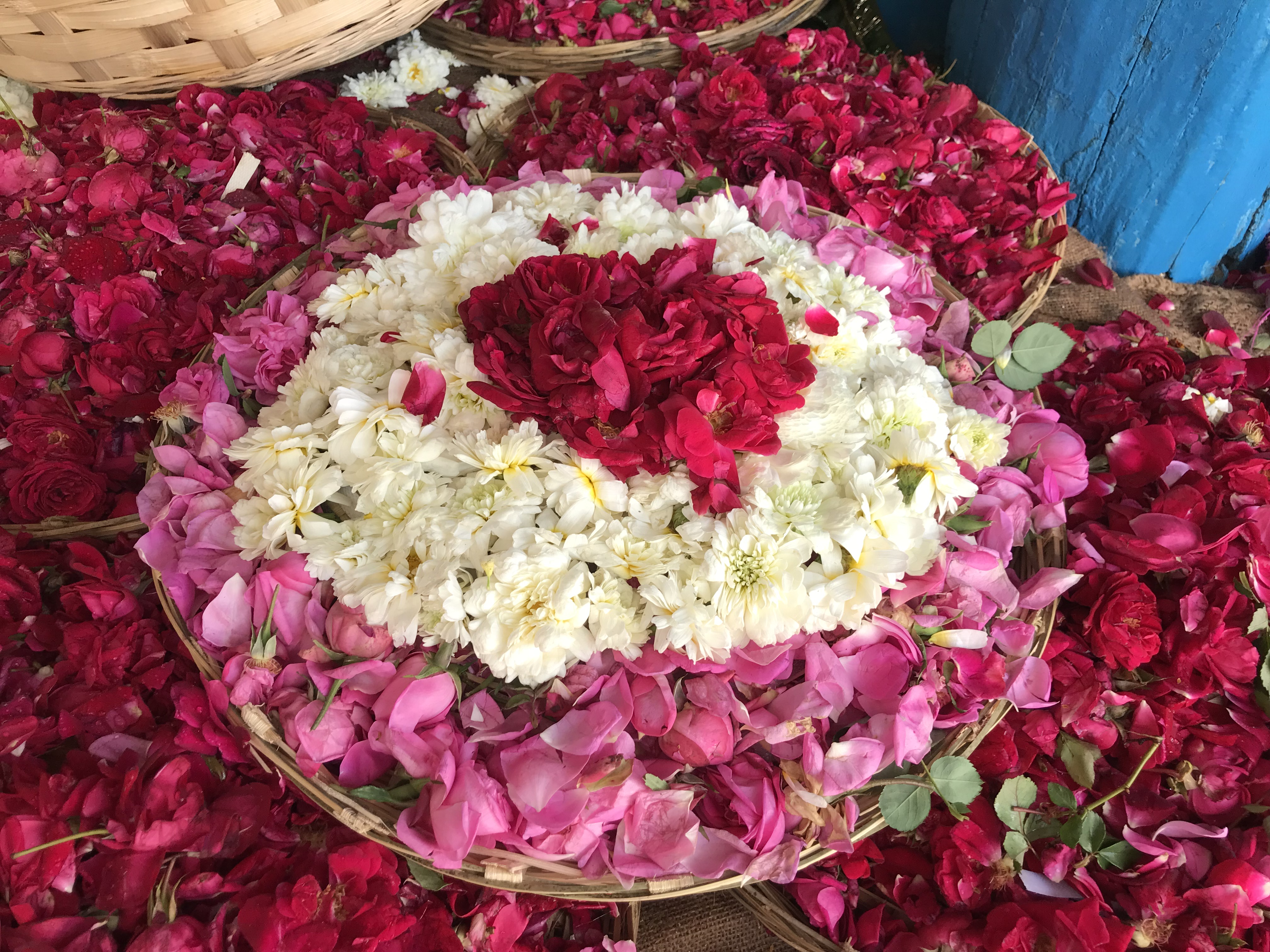 Ajmer Dargah